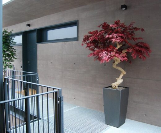 L&amp;&#x23;8217&#x3B;&#x00C9;l&#x00E9;gance&#x20;Durable&#x3A;&#x20;Les&#x20;Arbres&#x20;Artificiels&#x20;pour&#x20;Professionnels&#x20;chez&#x20;Feuillazur