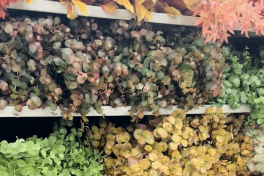 Décoration automne pour professionnel