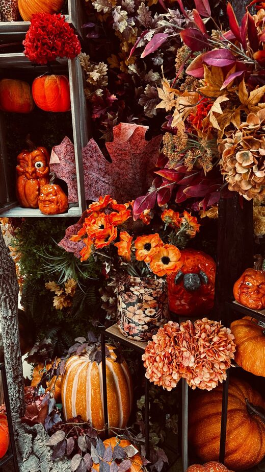 &#x1F342;&#x1F383;&#x20;Nouvelle&#x20;collection&#x20;automne&#x20;&amp;amp&#x3B;&#x20;Halloween&#x20;chez&#x20;Feuillazur&#x20;Suisse&#x20;&#x3A;&#x20;des&#x20;d&#x00E9;cors&#x20;professionnels&#x20;&#x00E0;&#x20;d&#x00E9;couvrir&#x20;&#x21;