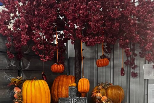 Grossiste de décoration automnale en Suisse : réalisez vos vitrines d’automne avec Feuillazur