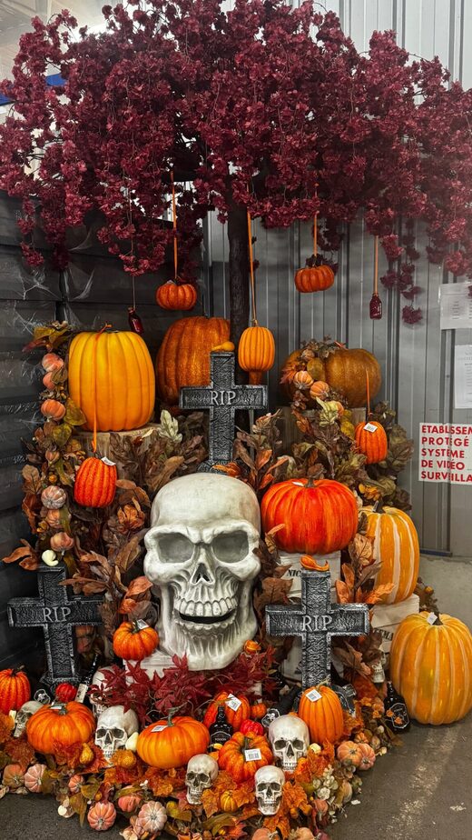 Grossiste&#x20;de&#x20;d&#x00E9;coration&#x20;automnale&#x20;en&#x20;Suisse&#x20;&#x3A;&#x20;r&#x00E9;alisez&#x20;vos&#x20;vitrines&#x20;d&#x2019;automne&#x20;avec&#x20;Feuillazur